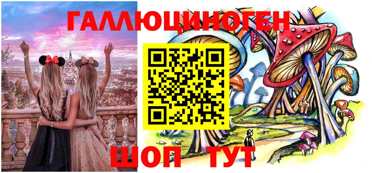 Псилоцибиновые грибы GOLDEN TEACHER  Псилоцибиновые грибы мухоморы  как найти   Камышлов  Вход с VPN 