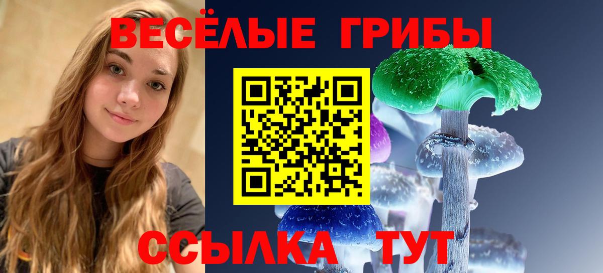 Псилоцибиновые грибы Psilocybine cubensis Камышлов