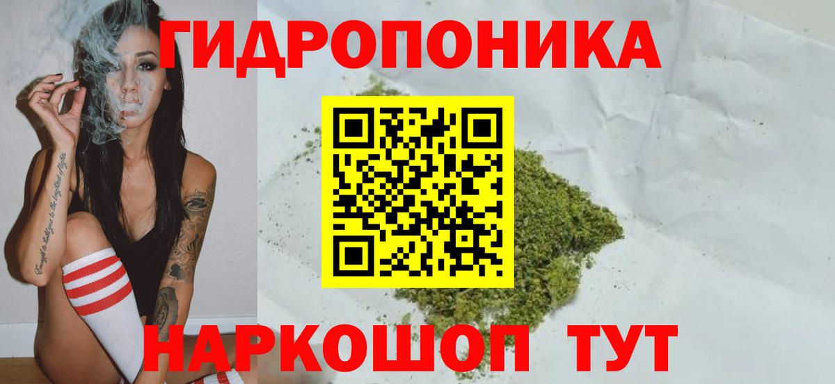 Камышлов  Бошки марихуана планчик  Канабис MAZAR  Канабис White Widow  Вход с VPN 